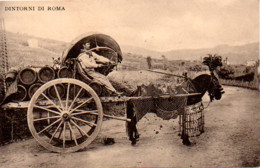 DINTORNI DI ROMA - Trasporti