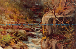 R125388 A Mountain Stream. Tuck. Art - World
