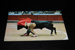 38185                         SPAIN  ESPANA, CORRIDA DE TOROS / FOLKLORE / COSTUMES - Bull