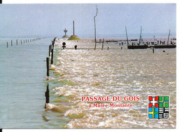 PASSAGE Du GOIS - Beauvoir - Noirmoutier - à Marée Montante - Beauvoir Sur Mer
