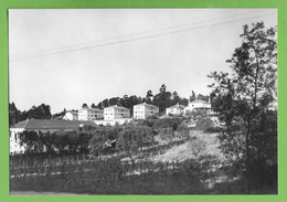 Anadia - Bairro Da Bela Vista. Aveiro. Portugal (Fotográfico) - Aveiro