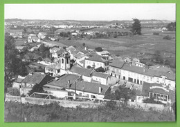 Anadia - Vista Panorâmica Do Lugar De Arcos. Aveiro. Portugal (Fotográfico) - Aveiro