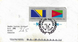 United Nations 2000 New York Flag Bosnia Herzegovina Eritrea Cover To Cameroun - Sobres