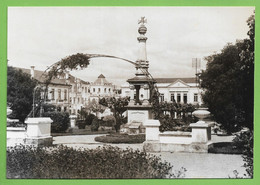 Anadia - Jardim Municipal E Monumento Aos Mortos Da Grande Guerra. Aveiro. Portugal (Fotográfico) - Aveiro