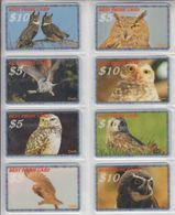 USA BIRDS OWL SET OF 16 CARDS - Gufi E Civette