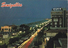 Mar 4101 - Senigallia – Lungomare Di Notte - Senigallia