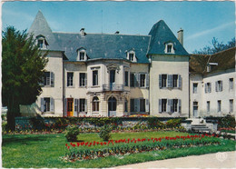 Cpsm Grand Format CHEVIGNY ST SAUVEUR - Centre FPA - Le Château - Andere Gemeenten