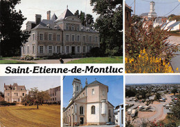 P-FL-M-22-862 : SAINT-ETIENNE-DE-MONTLUC - Saint Etienne De Montluc