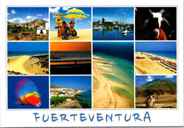 (3 E 25) Spain - Posted To Australia - Fuerteventure - Fuerteventura