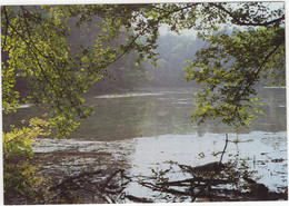 Ootmarsum - Grote Bron, Het Springendal - (Overijssel, Nederland) - Ootmarsum