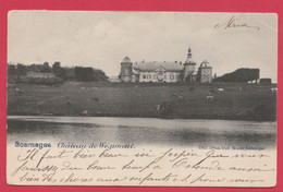 Soumagne - Le Château De Wégimont - 1906 ( Voir Verso ) - Soumagne
