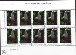 Nederland  2022-1  Vogels  Red Footed Booby    Vel-sheetlet    Postfris/mnh/neuf - Neufs