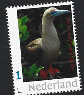 Nederland  2022-1  Vogels  Red Footed Booby       Postfris/mnh/neuf - Neufs