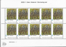 Nederland  2022-1  Uilen Owls  Holenuil  Burrowing Owl  Vel-sheetlet   Postfris/mnh/neuf - Nuevos