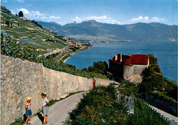 Le Lavaux - Le Chateau De Glerolles Pres Rivaz (5476) - Rivaz