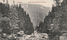 AK Okertal - Blick Auf Den Grossen Kurfürsten - Hotel Romkerhalle - 1912 (58953) - Altenau