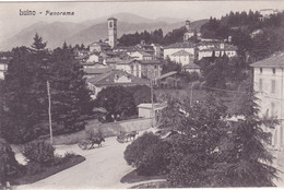 355/ Luino, Panorama, Paard Met Wagen - Luino