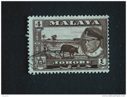 Maleisië Malaya Malaysia Johore 1960 Buffle Buffel Rizière Rijstveld Yv 134 O - Johore