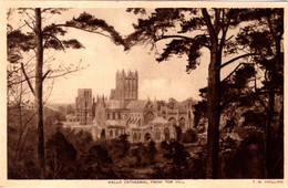 WELLS - Cathedral From Tor Hill - Wells