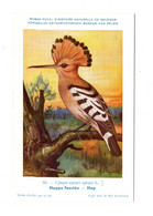 15171" HUPPE FASCIÉE "-CART. NON SPED. - Birds