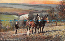 R137471 A Working Team. Our Farm. Photochrom. Tuck. Series 4405. 1905 - World