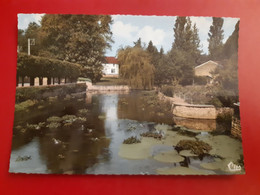 VOUILLE BASSIN DE L'AUXANCES - Vouille