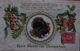 Good Wishes For Thanksgiving (1916) - Giorno Del Ringraziamento