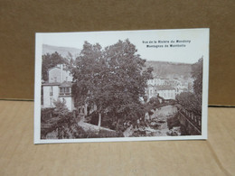 AMELIE LES BAINS  (66) Vue De La Rivière Du Mondony - Sonstige & Ohne Zuordnung