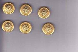 CROATIA ARMY  --   CRO ARMY  --   LOT  6 X BUTTON    --   GROSSE - Boutons