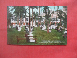 Afternoon Tea & Band Concert  In Cocoa Nut Grove      Palm Beach  Florida     Ref  5406 - Palm Beach