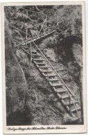 AK Schmilka Heilige Stiege Ca 1930 (Al05) - Schmilka