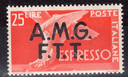 Trieste - Zona A (1948) - Espresso 25 Lire ** - Express Mail