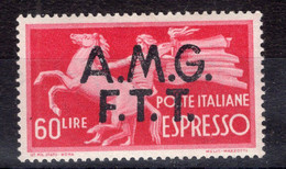 Trieste - Zona A (1948) - Espresso 60 Lire * MH - Posta Espresso