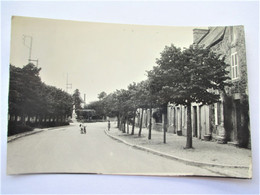 Carte Photo MONTMARTIN Sur MER - L' Avenue - Tbe - Montmartin Sur Mer