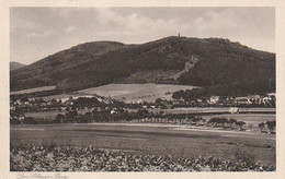 AK Löbauer Berg - Turmwirtschaft Martin Proft - 1933 (59055) - Loebau