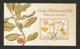 AUSTRALIA NORFOLK ISLAND 2020 EARLY BOTANICAL PLANT FLOWER ART SOUVENIR SHEET 2 STAMPS USED (**) - Oblitérés