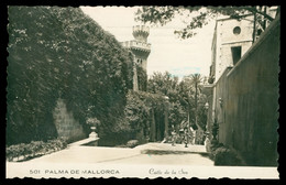 Cp Dentelée - PALMA DE MALLORCA - Calle De La Sea - Animée - 1953 Par Avion - Palma De Mallorca