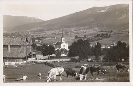 Suisse - MOUTIER - (église  Vaches) - Moutier