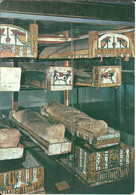 Torino (Piemonte) Museo Egizio, Sarcofagi In Legno E Mummie - Musées
