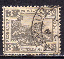 MALAYA MALAISIE MALESIA FEDERATED STATES 1922 1932 WILD FAUNA TIGER TIGRE CENT. 3c USATO USED OBLITERE' - Federation Of Malaya