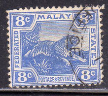 MALAYA MALAISIE MALESIA FEDERATED STATES 1901 1910 WILD FAUNA TIGER TIGRE CENT. 8c USATO USED OBLITERE' - Fédération De Malaya