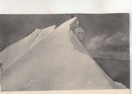 A6250) GROSS VENEDIGER Spitze U. Stempel Johannis Hütte Und Deffreggerhütte 1907 - Prägraten