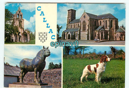 22 - CALLAC - Carte Multi Vues - Callac