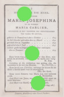 Zuster Maria Josephina ( Maria Carlier ) Ramsdonk ( Kapelle-op-den-Bos ) 1819 - Leuven 1892 - Todesanzeige