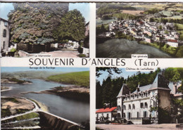Delcampe - 81 - Souvenir D'angles - Angles