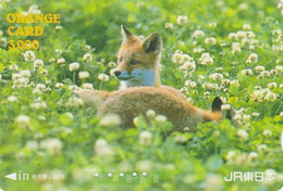 Carte Orange JAPON - ANIMAL - RENARD - FOX JAPAN Prepaid JR Train Ticket Card  - FUCHS - 152 - Non Classificati