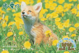 Carte Orange JAPON - ANIMAL - RENARD - FOX JAPAN Prepaid JR Transport Ticket  Card - FUCHS - 153 - Non Classificati