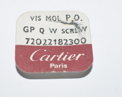 Cartier 4 Vis Mol Plaqué Or - GP Q W Screw 72022182300 - Supplies And Equipment