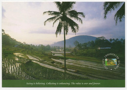 Indonesia West Java Sumedang Paddy Field - Indonesië