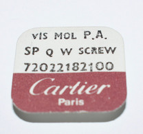 Cartier 5 Vis Mol Plaqué Argent - SP Q W Screw 72022182100 - Supplies And Equipment